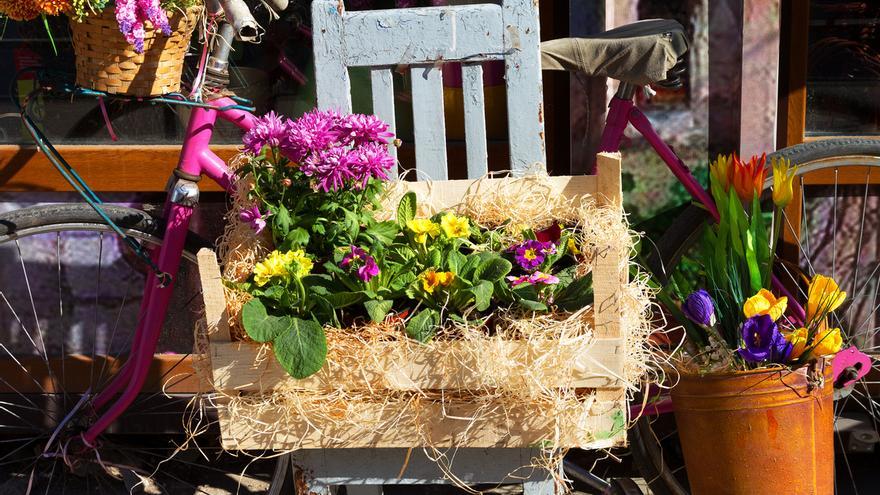 ¿Te gusta la jardinería? Así puedes darle un toque original a tus plantas con estos 10 objetos reciclados