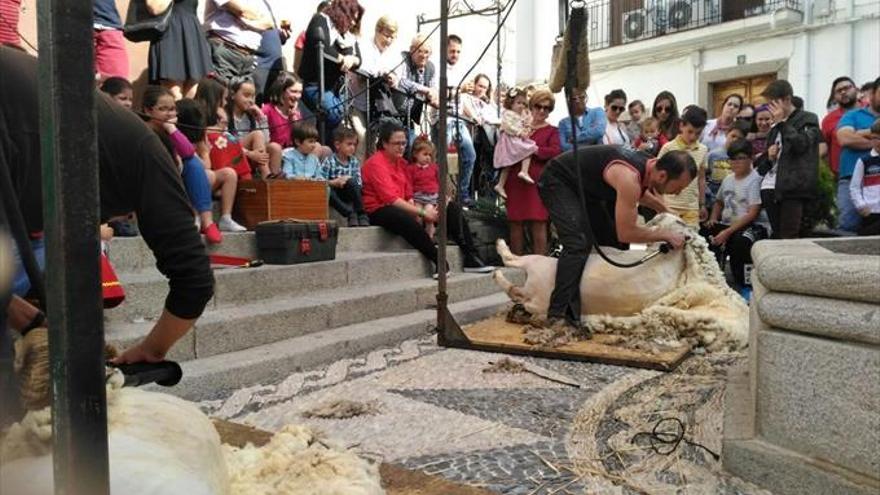 40 expositores recuperan el oficio del pastor en la sexta edición de la feria