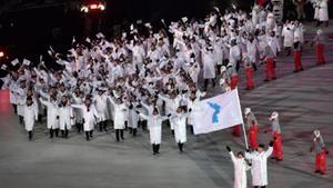 e3154ef5-las-dos-coreas-llevan-mensaje-de-paz-en-juegos-pyeongchang-2018-696x391
