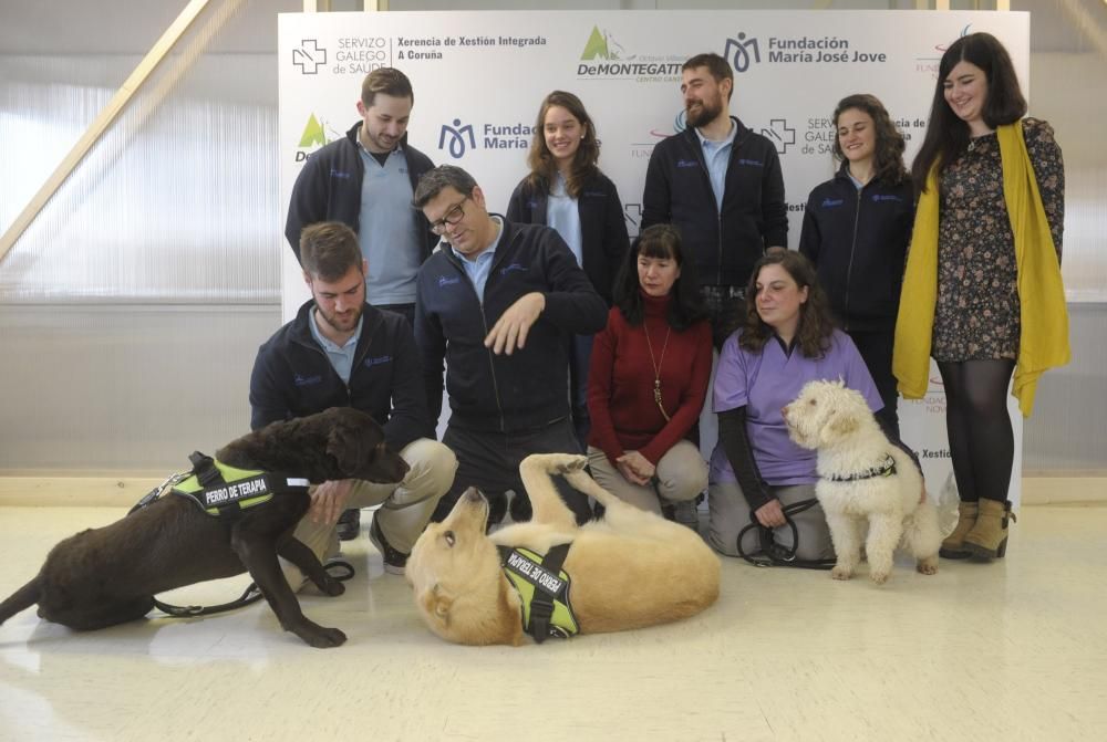 El Materno, pionero en terapia con animales