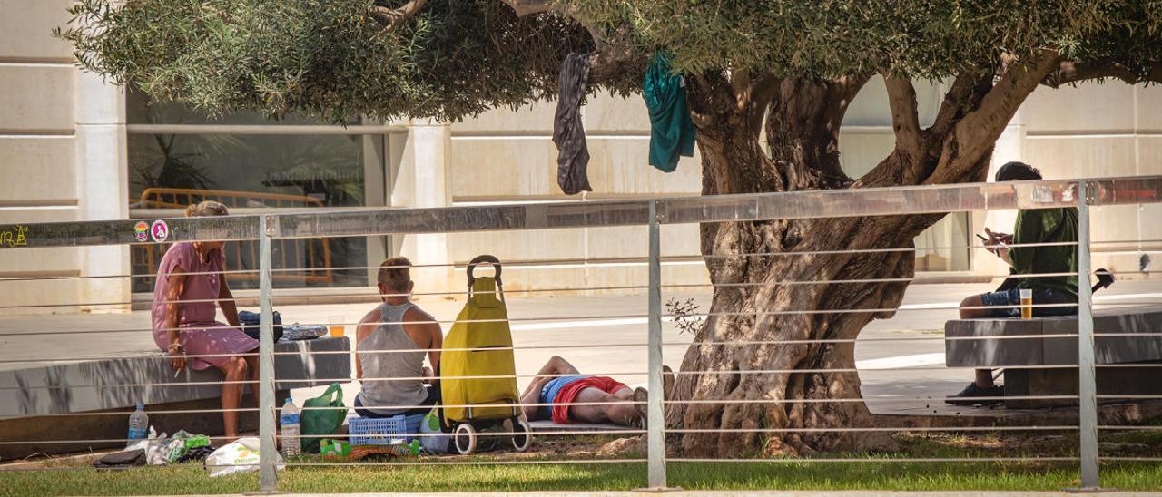 Un grupo de personas bebe y descansa en el suelo en la zona ajardinada de la plaza de Oriente, junto a un árbol donde han tendido la ropa.