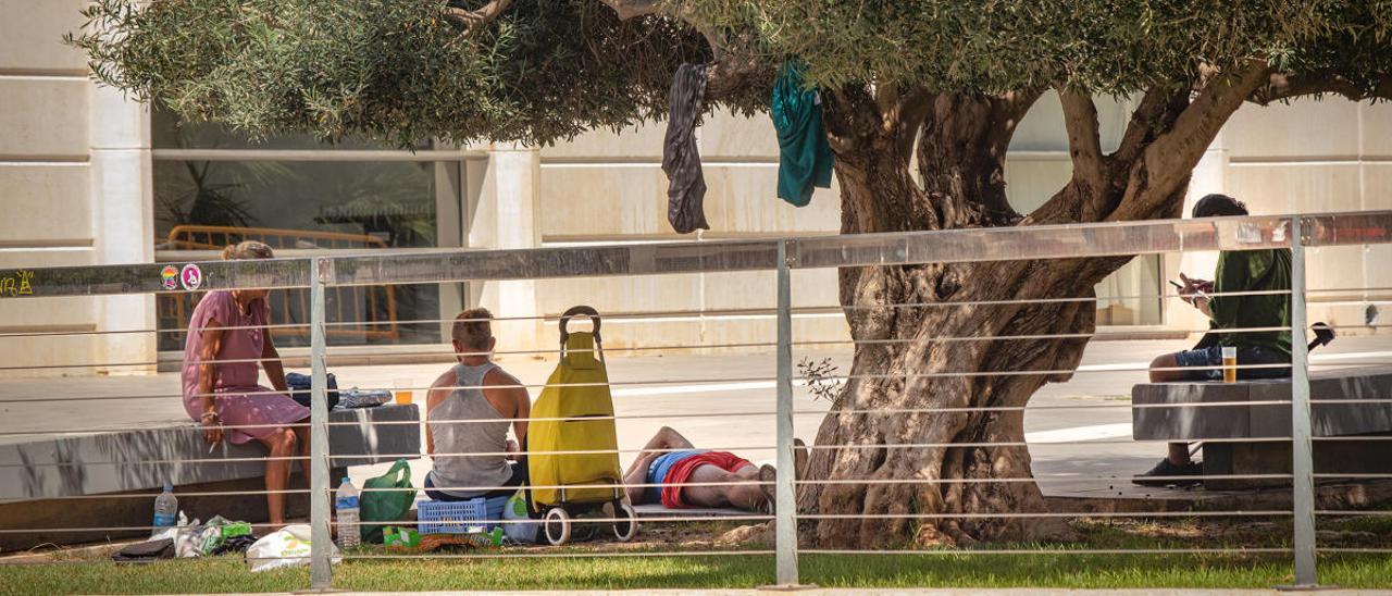 Vecinos del barrio de La Punta denuncian la imparable degradación de la  céntrica zona de Torrevieja - Información