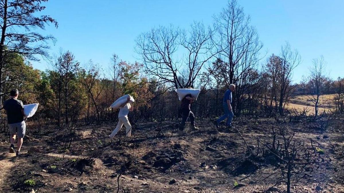 Los voluntarios cargan con sacos para depositarlos en el monte.