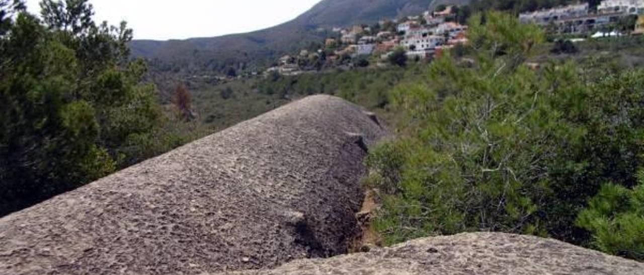 Dénia, en la trinchera