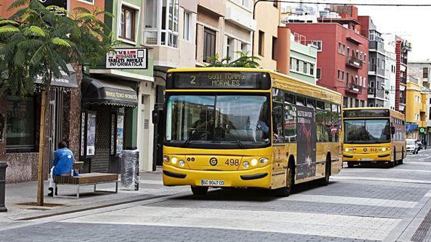 Dos vehículos de Guaguas Municipales circulan por la calle Galicia.