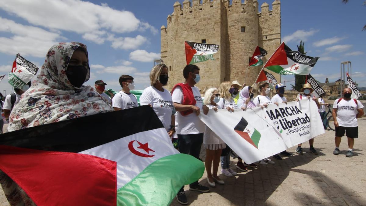 Marcha por la libertad del pueblo saharaui, junto a la Torre de la Calahorra.