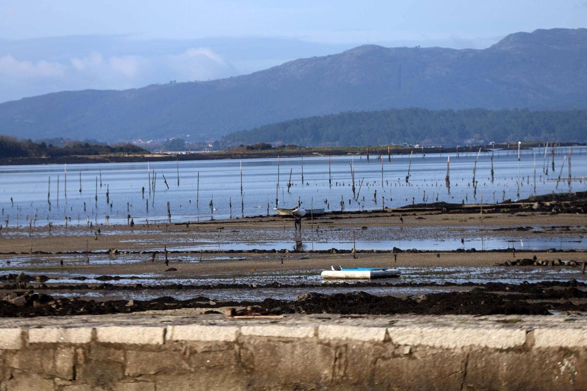 La ría asiste a las primeras "mareas vivas" del año.