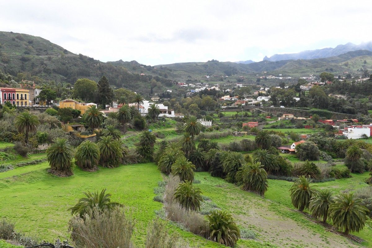 Santa Brígida en Navidad