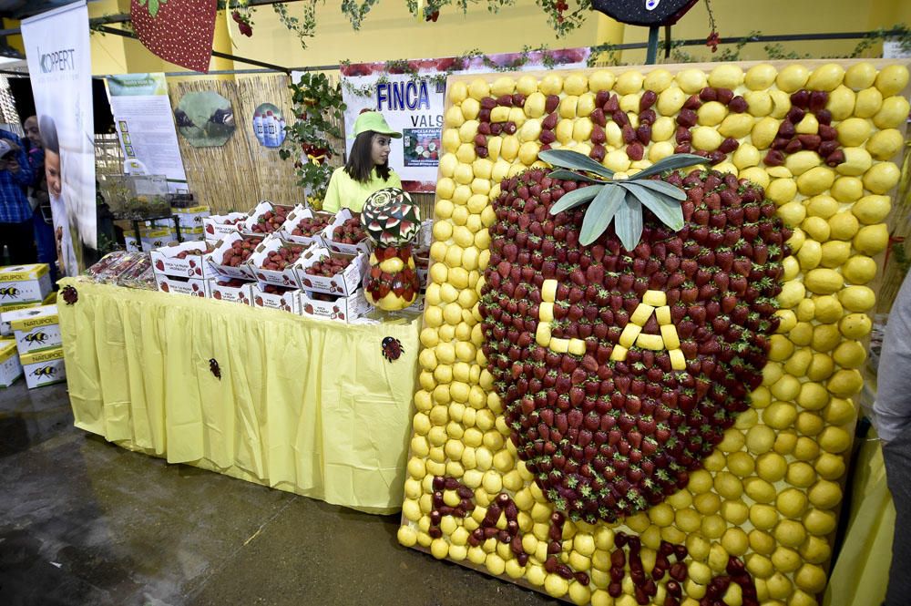 Feria de la fresa de Valsequillo, 2017