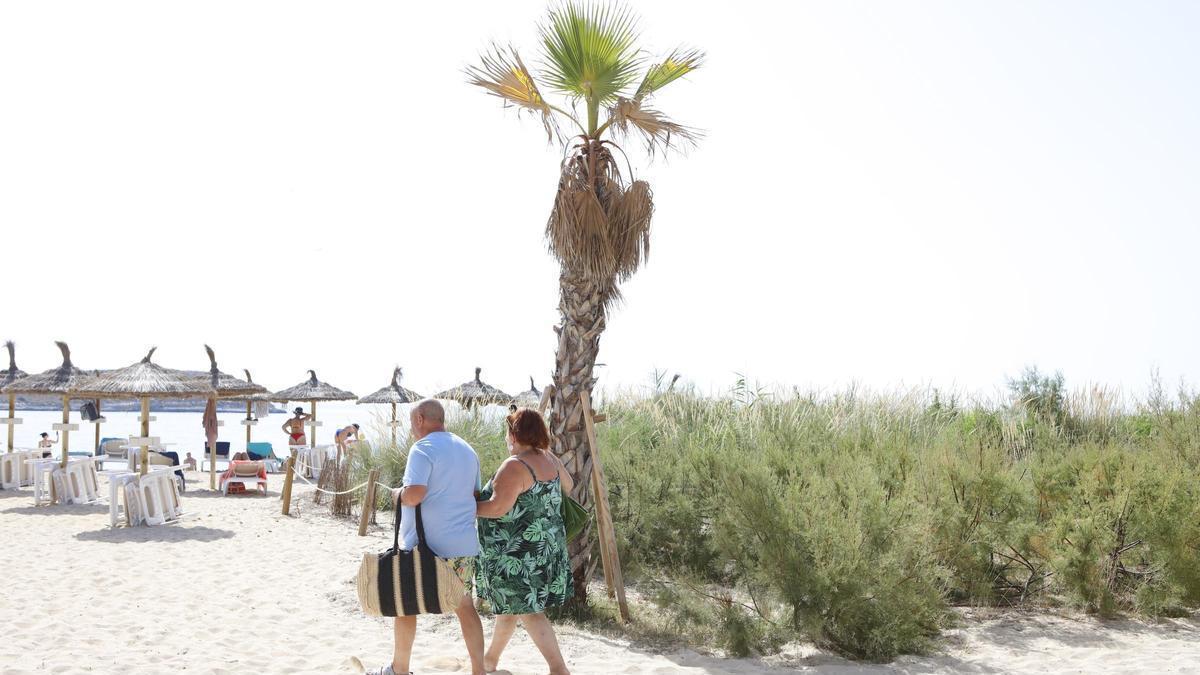 Am Strand und an der Promenade von Magaluf ist am Wochenende einiges geboten. Unter anderem die Balearen-Sinfoniker spielen im Sand.