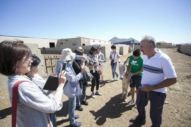 FUERTEVENTURA - 14 EXPERTOS EN QUESOS VISITAN LA QUESERIA DE JULIAN DIAZ EN FUERTEVENTURA - 21-06-16