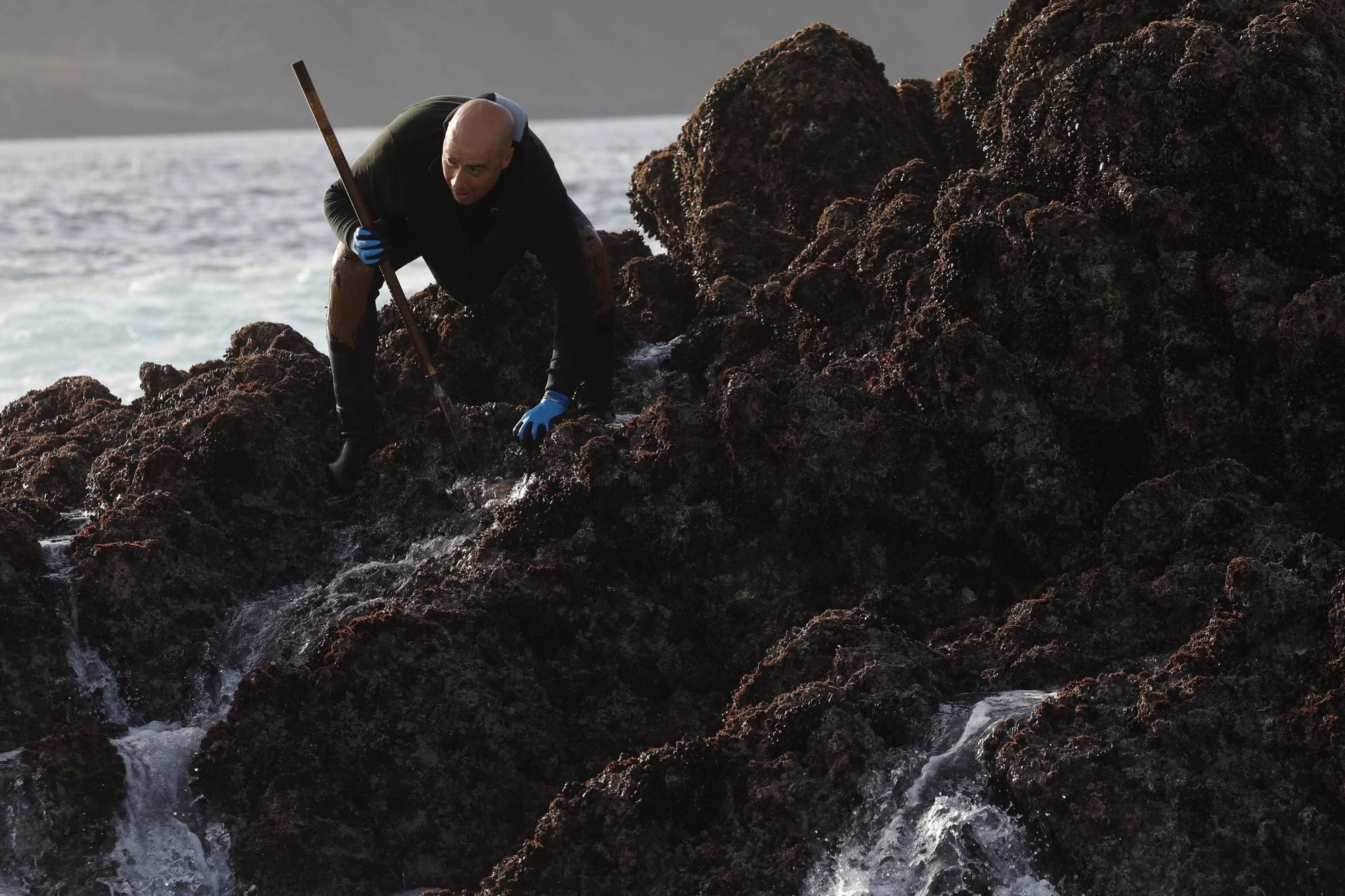 EN IMÁGENES: Así es la dura jornada de los perceberos del cabo Peñas: un oficio de alto riesgo a merced de las olas