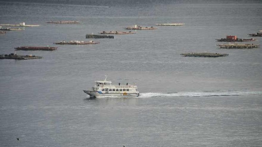 El barco del transporte de ría entre Moaña y Vigo. // G. Núñez