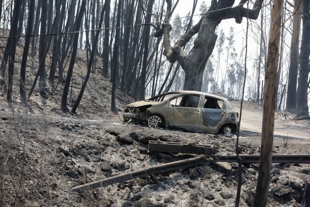 Incendi a Portugal