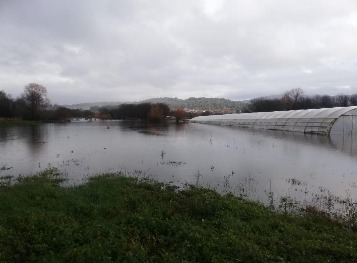 Un invernadero vinculado a Horsal en un terreno completamente inundado. | FDV
