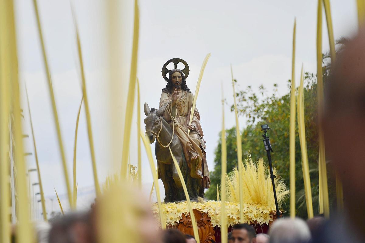 Una momento del Domingo de Ramos en Elche, el pasado año