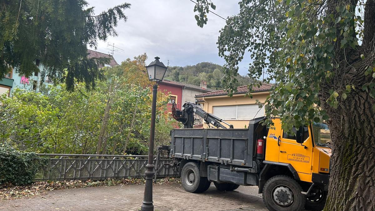 Tareas de limpieza del río La Ferrera a su paso por El Condao, en Laviana
