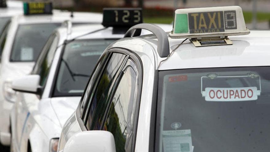 Imagen de taxis en Málaga.