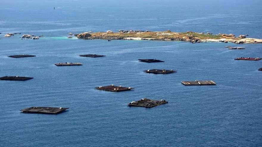 Vista aérea de bateas en un polígono de la Ria de Arousa. // Iñaki Abella