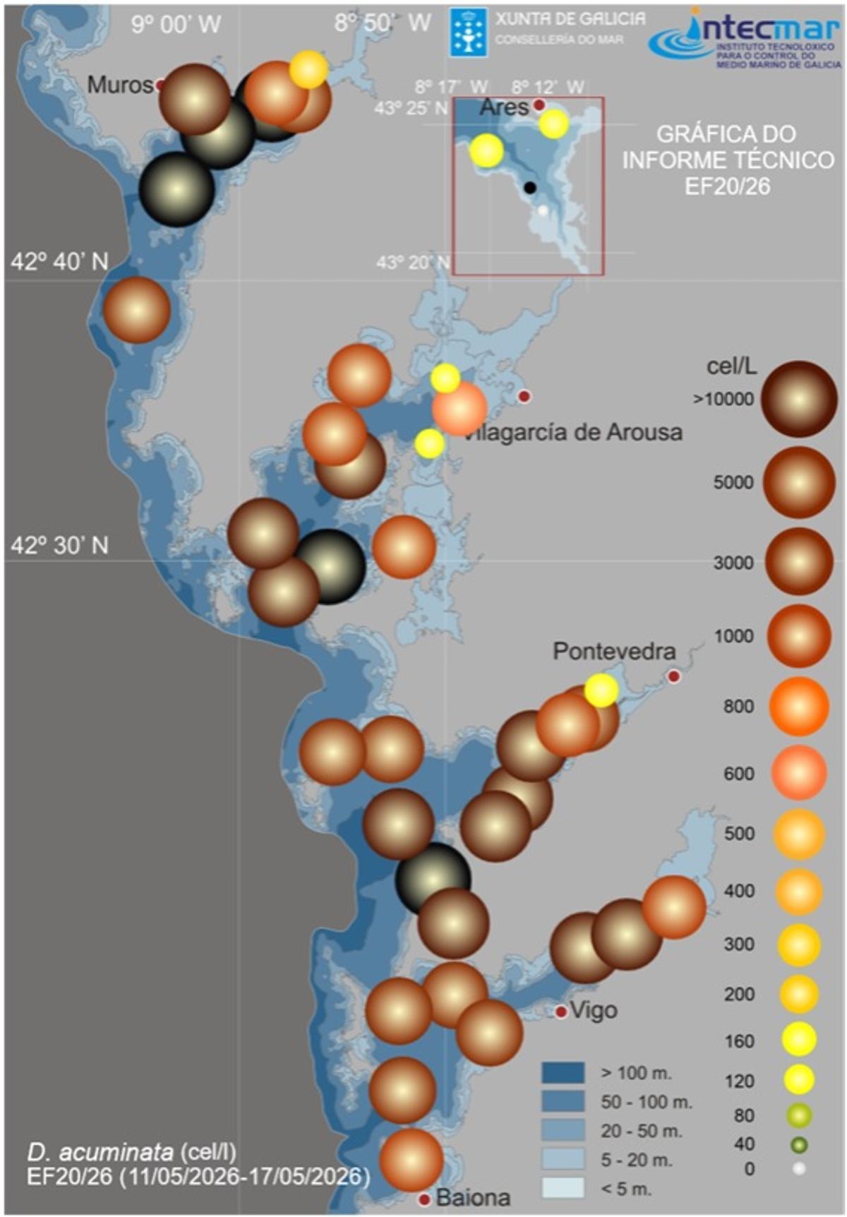 Este mapa refleja una abundancia e intensidad de «Dinophysis» pocas veces vista.