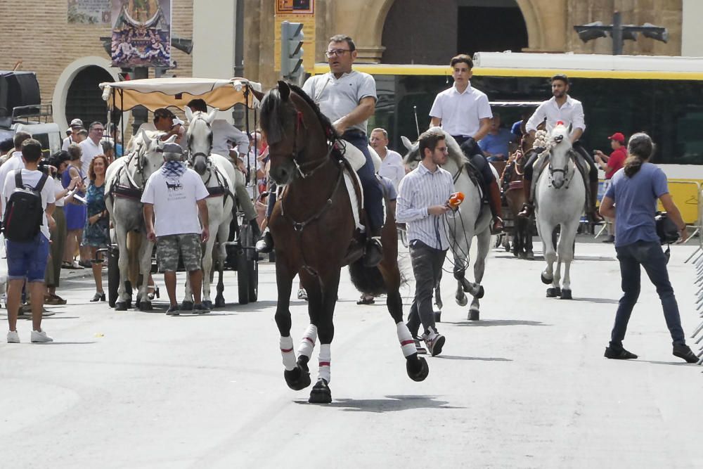 Desfile del Día del Caballo en Murcia