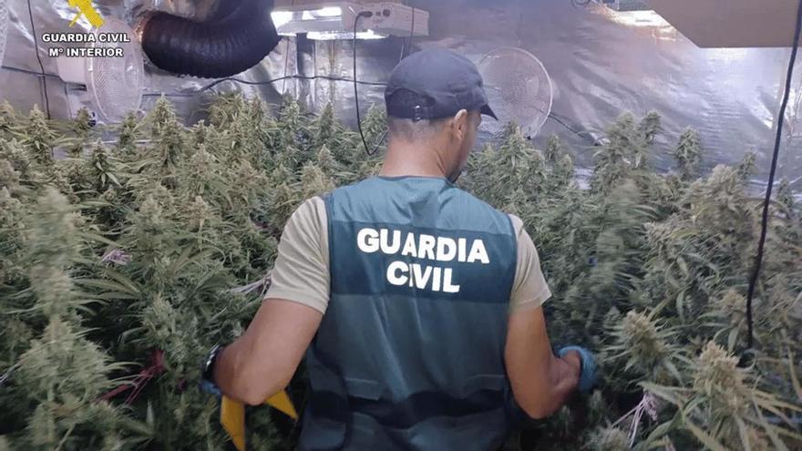 Una macroplantación de marihuana en Villaviciosa queda impune al no poder demostrarse quién está detrás