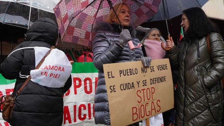 Última manifestación contra la plantas de biogás convocada en Zamora capital. | JOSE LUIS FERNÁNDEZ