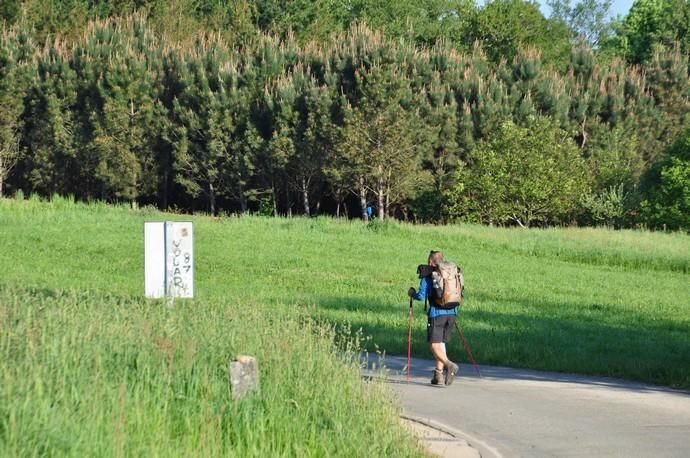 Canarios en el Camino de Santiago