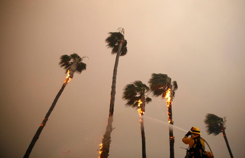 Incendis forestals a Califòrnia