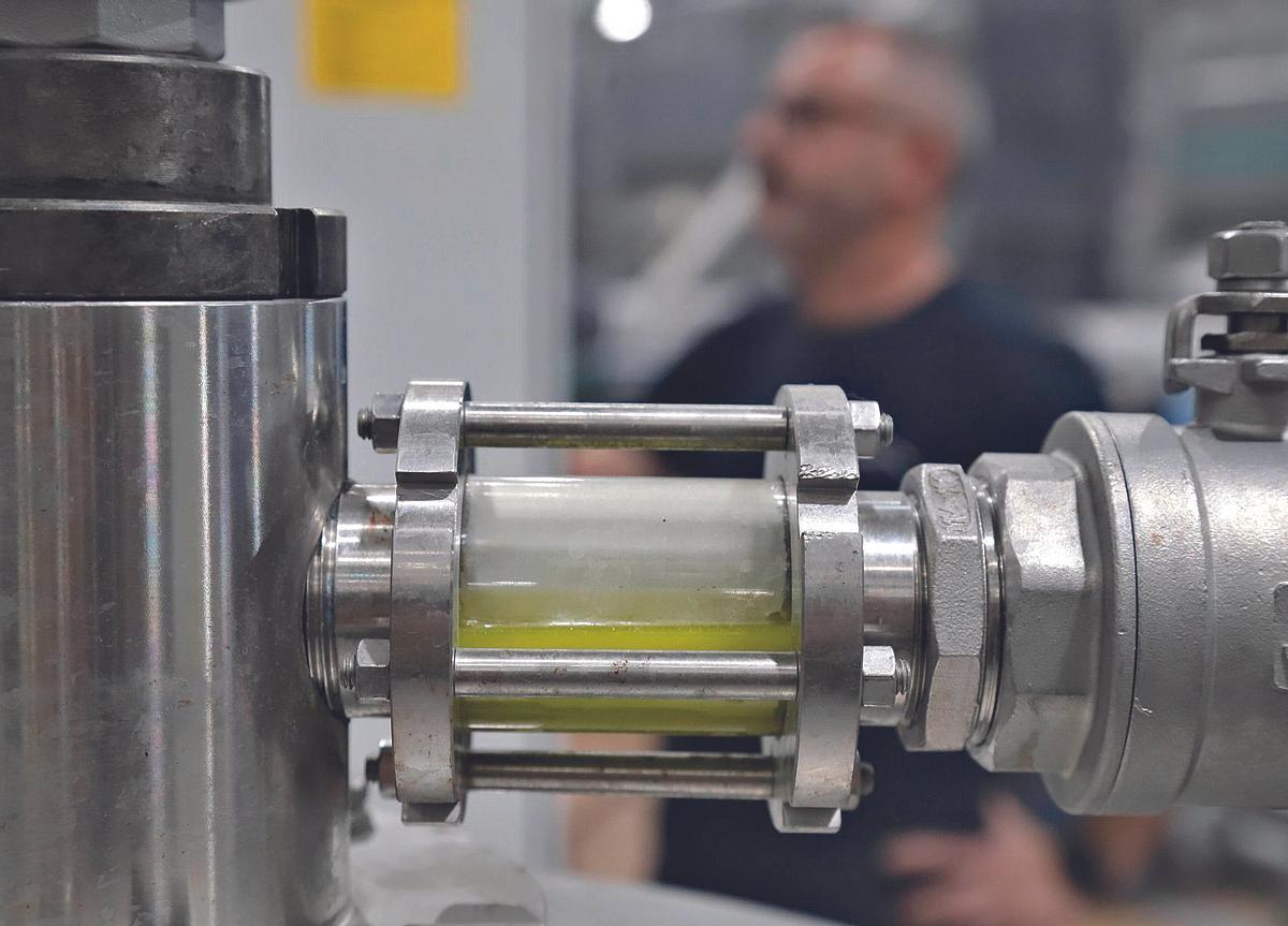 La DOP ha incorporado avances en la producción de AOVE con la tecnología 'blockchain'.