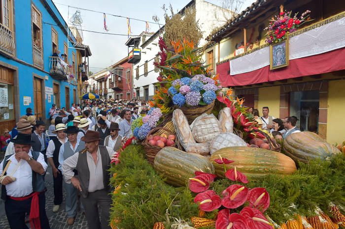 Carretas y grupos en la romería del Pino