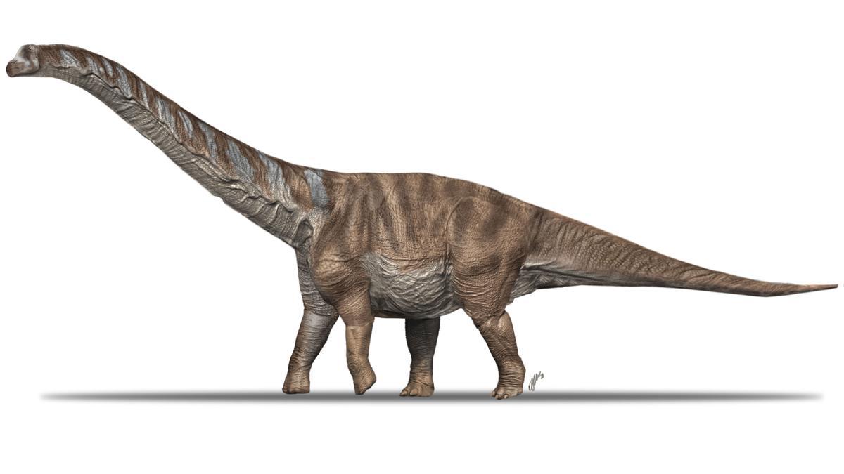 Recreació gràfica de l&#039;Abditosaurus kuehnei, el tipus de titanosaure que ha descrit l&#039;equip de paleontòlegs de l&#039;Institut Català de Paleontologia, a Sabadell