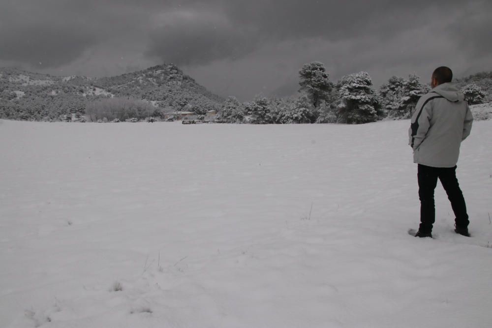 Nevada en Alcoià y Comtat