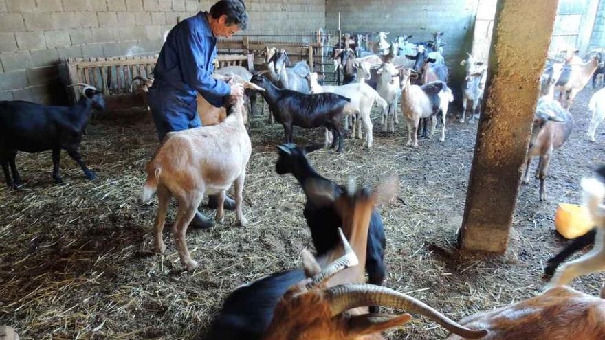 Imagen del aprisco en San Pedro de Ceque.