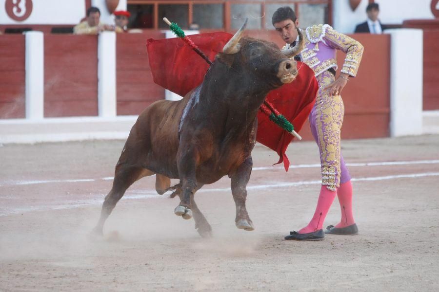 Toros en Zamora