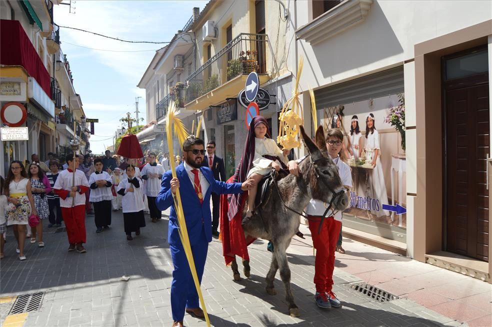 FOTOGALERÍA / El Domingo de Ramos en la provincia