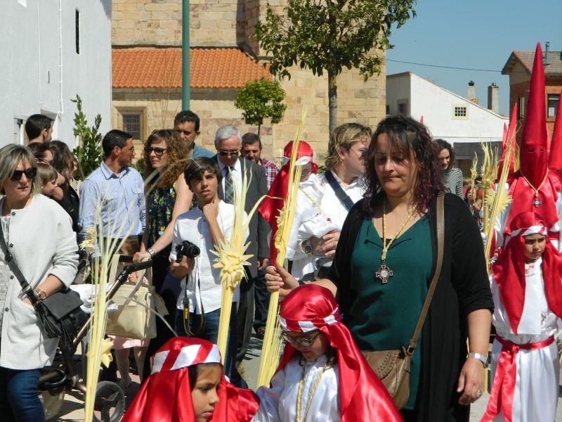 Procesión de Domingo de Ramos en Villaralbo