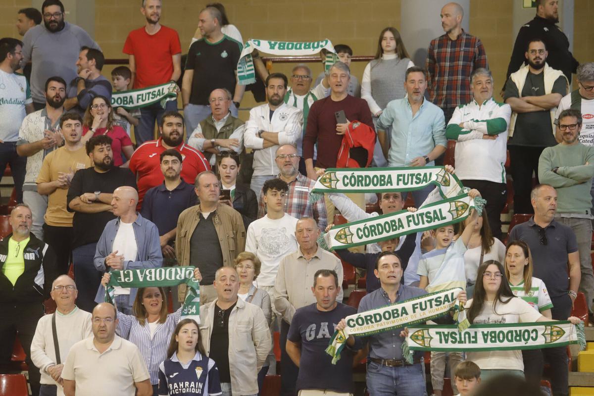 El Córdoba Futsal - Industrias Santa Coloma, en imágenes El Córdoba Futsal - Industrias Santa Coloma, en imágenes