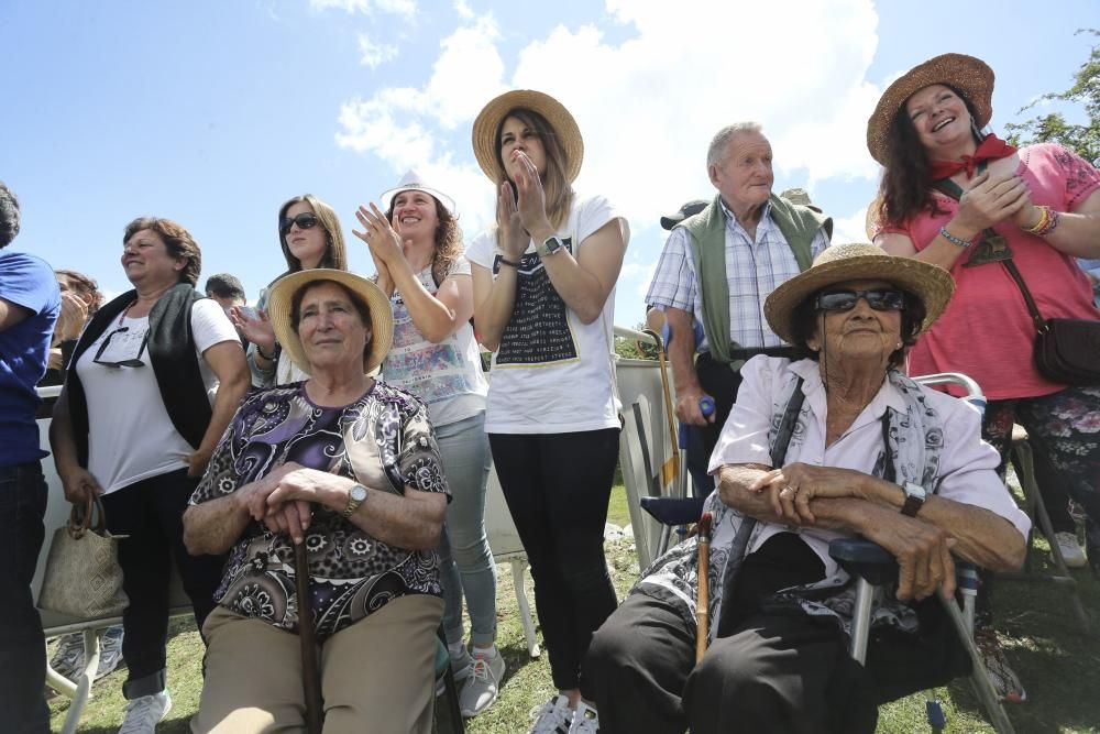 Fiesta del Asturcón en El Sueve