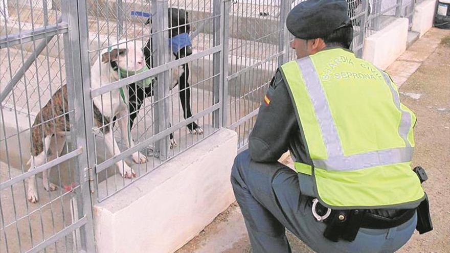 Un hombre muere atacado por 5 perros peligrosos en Alicante
