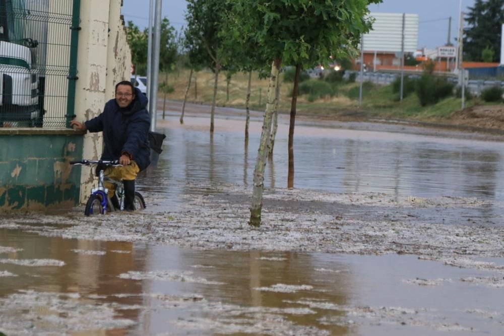 Las imágenes de la espectacular granizada en Roales