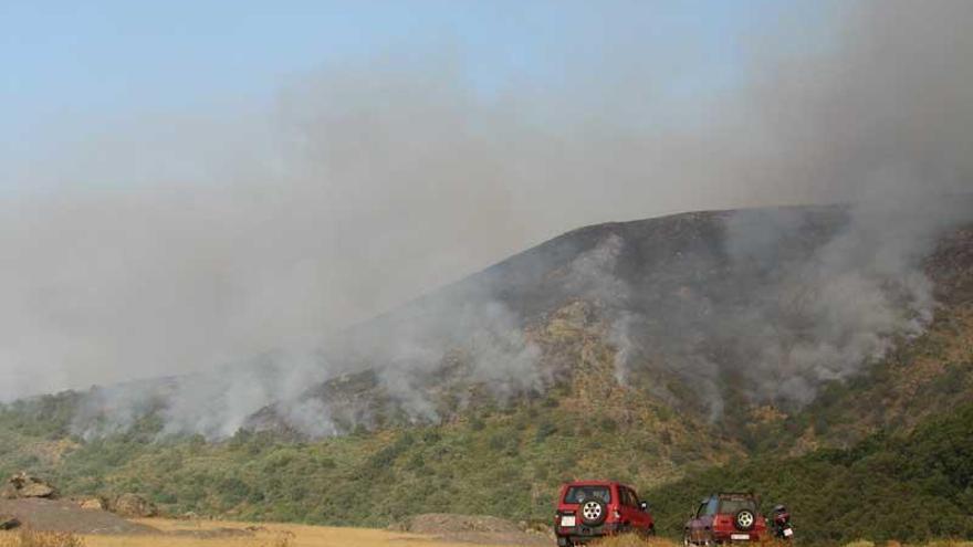 El incendio entre Garganta la Olla y Aldeanueva de la Vera ya está controlado