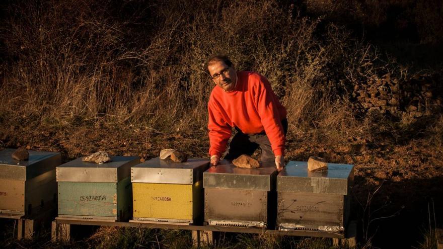 Guillermo Diez Fernández, apicultor de Las Obreras de Aliste de Gallegos del Campo. | Ch. S.