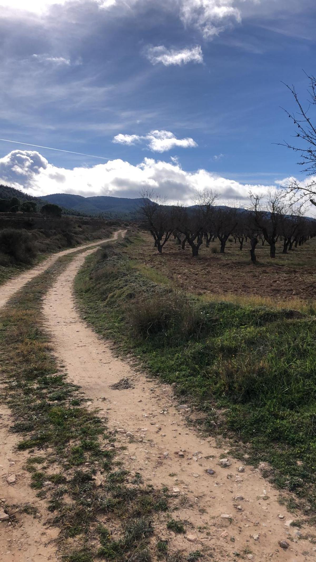 Terrenos próximos a Casa Peñas de Villena, en las inmediaciones de la sierra Salinas, donde se proyectan las tres plantas solares.