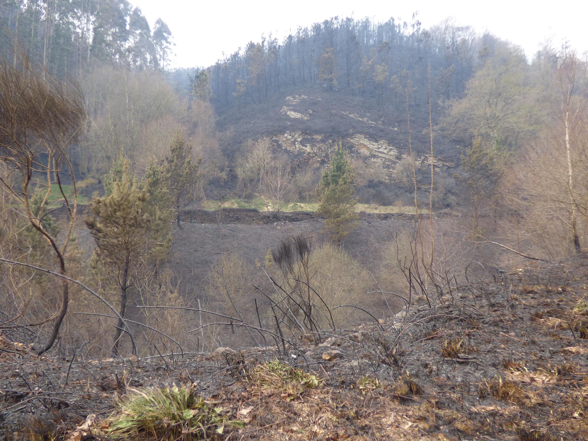 La lucha contra el fuego en los concejos de Tineo y Allande