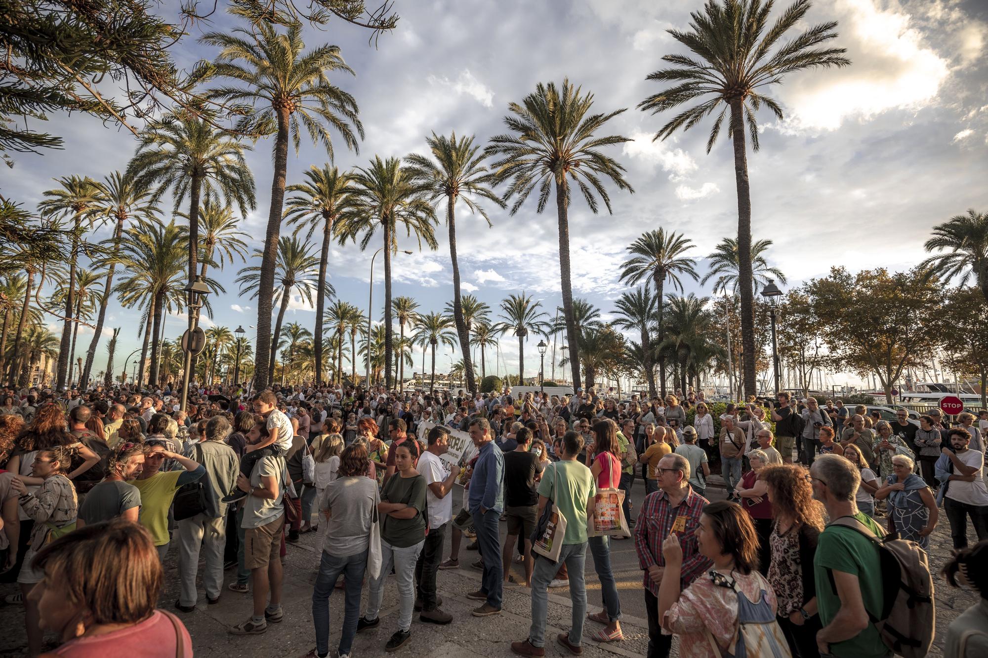 Demonstration gegen Massentourismus auf Mallorca