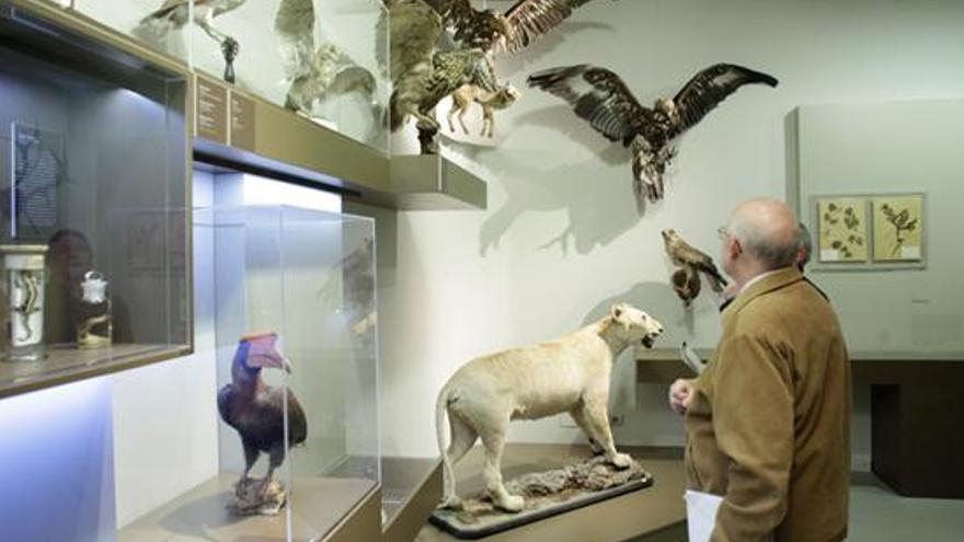 El Museo de Ciencias Naturales entrega el viernes los premios Concurso de Jóvenes