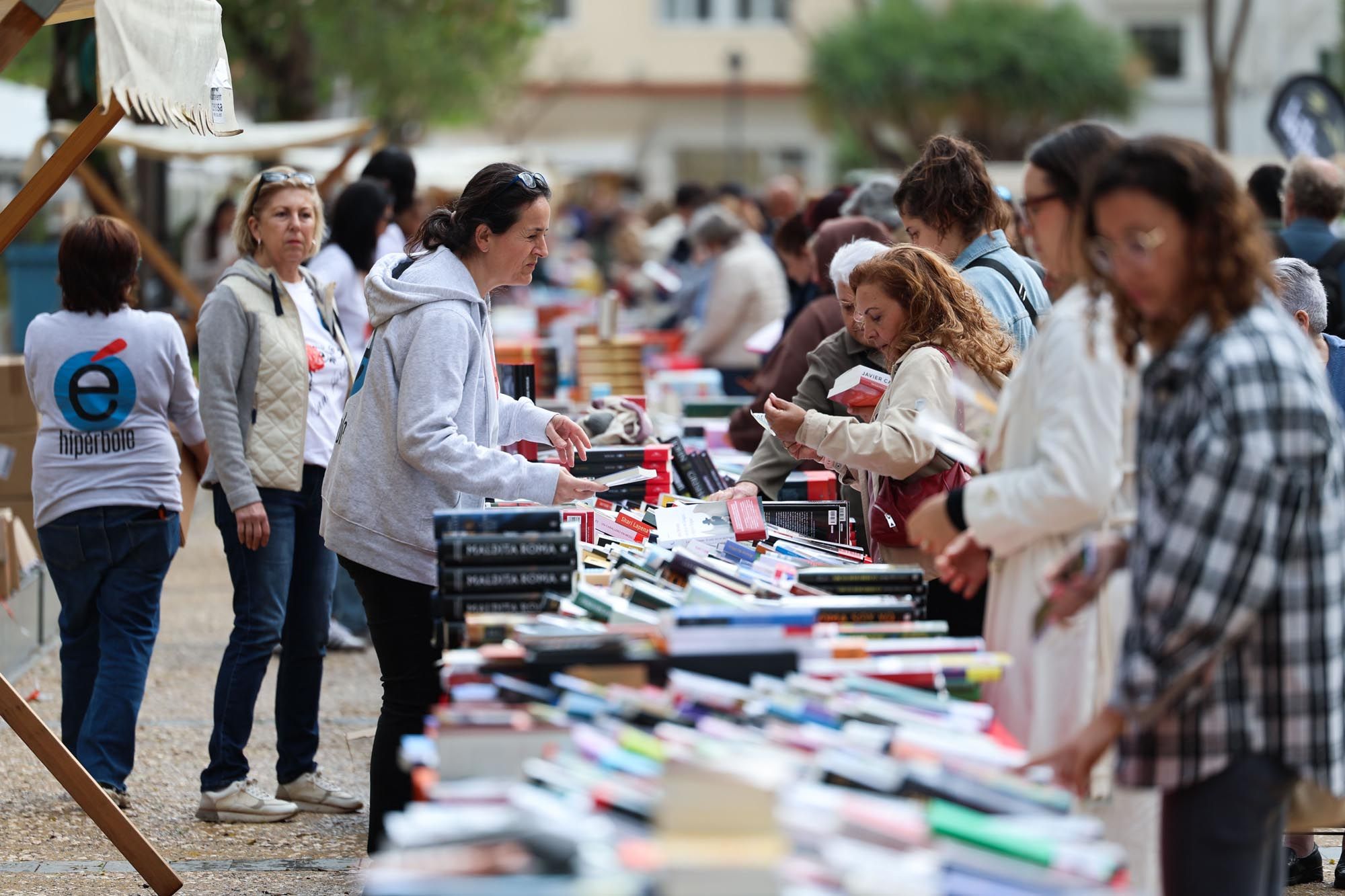 Todas las imagenes de Sant Jordi en Ibiza