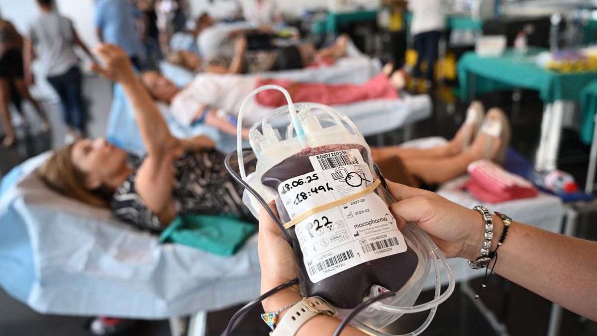 Maratón de donación de sangre