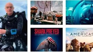 El Wild Oceans FilmFest une Gijón con cine, mar y ciencia
